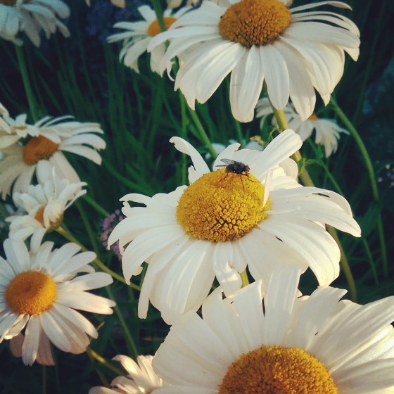 Simple pleasures can make a big impact.